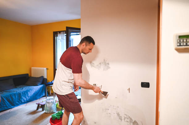 Office Mold Removal Services in Tupelo, MS